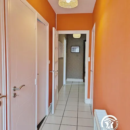 Des Alpagas, 10 Personnes Niafles