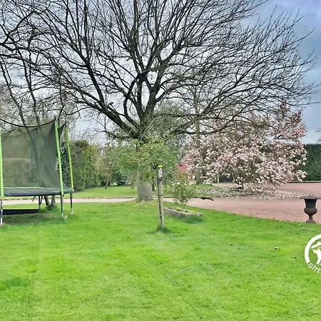 Des Alpagas, 10 Personnes *