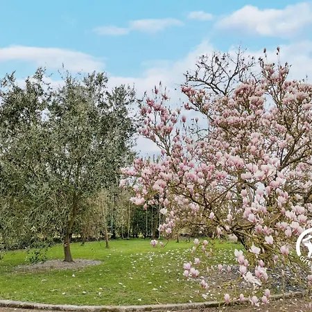 Des Alpagas, 10 Personnes