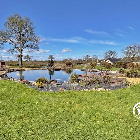 Des Alpagas, 10 Personnes *