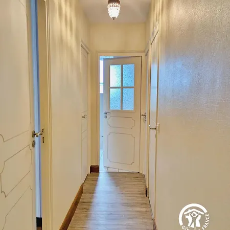 Des Alpagas, 10 Personnes *