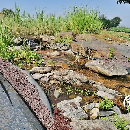 Des Alpagas, 10 Personnes * Niafles