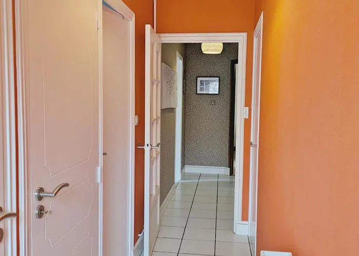 Des Alpagas, 10 Personnes Niafles