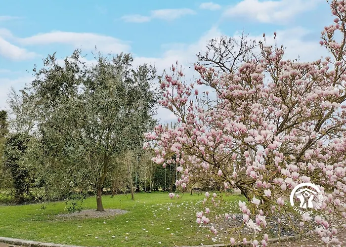 Des Alpagas, 10 Personnes