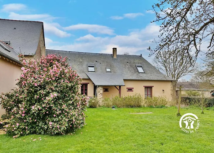 Des Alpagas, 10 Personnes Niafles