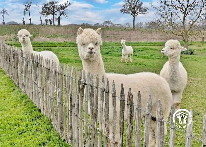 Des Alpagas, 10 Personnes Vakantiehuis *