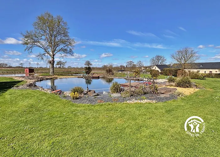 Des Alpagas, 10 Personnes *