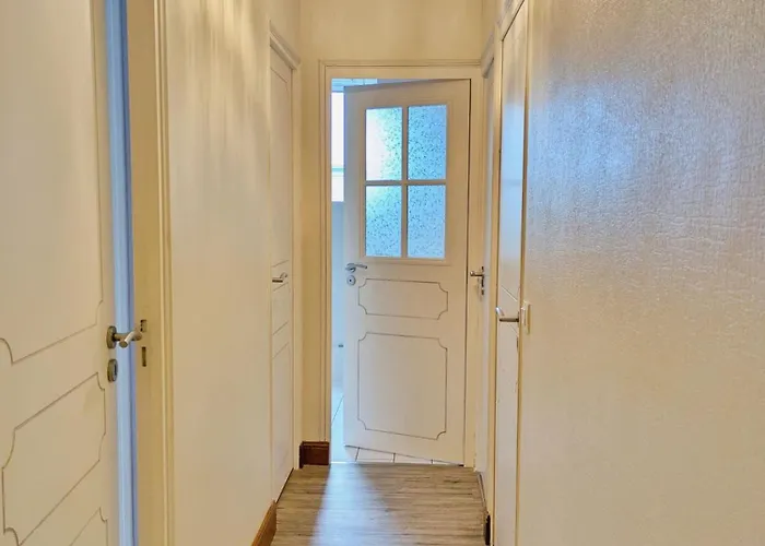 Des Alpagas, 10 Personnes *