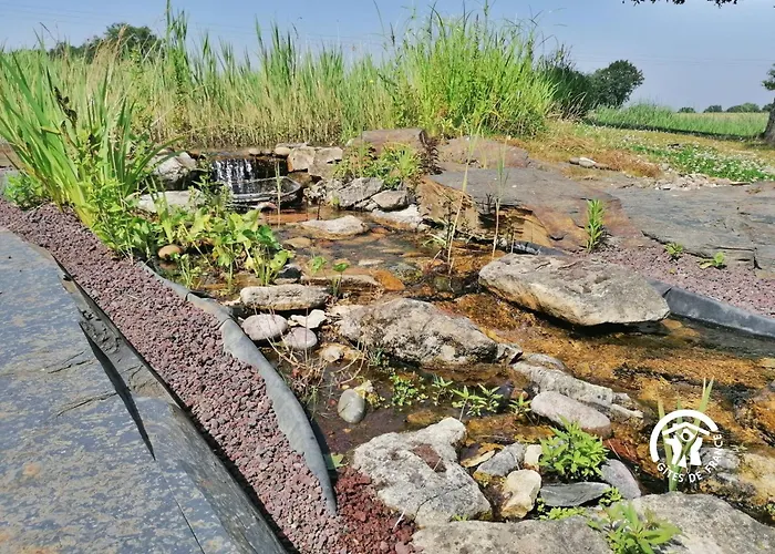 Des Alpagas, 10 Personnes * Niafles